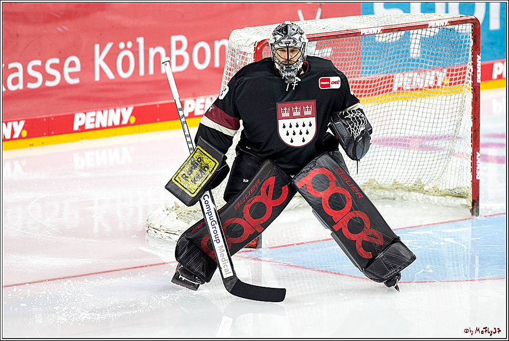 PENNY DEL;  Koelner Haie - Grizzlys Wolfsburg; Koeln, 29.01.2021